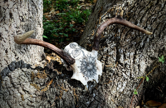 Decorated White Tail SkullCap
