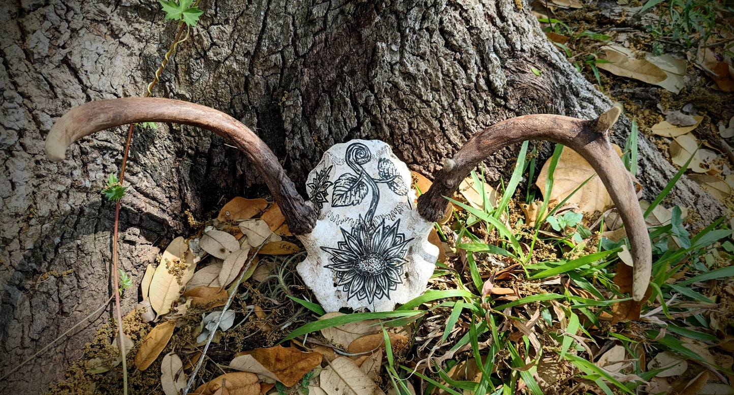 Decorated White Tail SkullCap