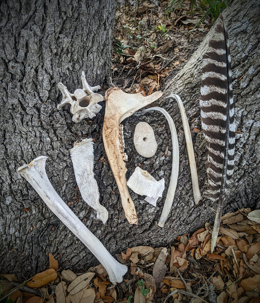 Oddity Grab Bag-SIZE LARGE-9 items